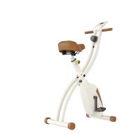 铁人(IRONMAN)X型可折叠家用磁控车室内动感单车运动自行车减肥塑型 奶棕色-可折叠-免安装+