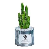 创享绿洲禅意莲花盆万重山仙人掌多肉植物花卉绿植盆栽阳台四季好养易活 万重山ins风铁盆+白石粒