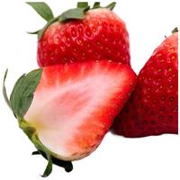 京鲜生 丹东初恋粉草莓 1.8斤 单果25g+精品礼盒 新鲜水果 源头直发
