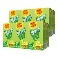 维他奶维他鸭屎香柠檬茶饮料饮品250ml/盒解腻 一口清爽 鸭屎香柠檬茶250ml 【12盒尝鲜装】