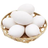耕果妙新鲜大鹅蛋6枚1.2斤 农家散养新鲜鹅蛋 放心吃 源头直发 