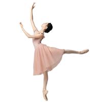 三沙（sansha）芭蕾舞裙 夏季女软纱tutu裙舞蹈半身裙仙气网纱裙 皮粉色 M （均码）
