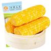 丝农优品 水果玉米200g*1早餐减肥代餐