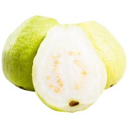 京鲜生 树熟软糯奶油芭乐 4个装单果150g+ 新鲜番石榴 源头直发 软糯奶油芭乐 4粒装