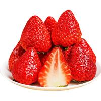 京觅 丹东99红颜奶油草莓3斤装单果15-20g新鲜水果源头直发 【丹东草莓】3斤装 单果15-20g