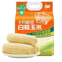 十月稻田 白糯玉米 2.08kg 260g*8根
