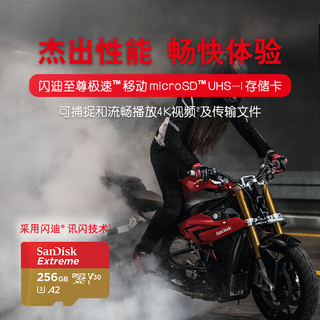 闪迪 Sandisk 内存卡手机扩展卡micro sd tf卡高速switch通用存储卡游戏机卡 256G-190M+Type-c接口TF卡读卡器