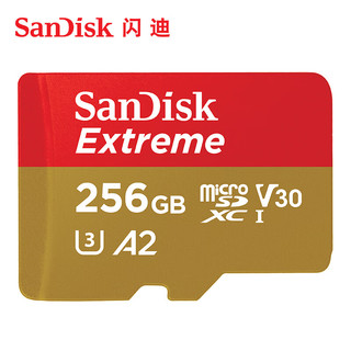 闪迪 Sandisk 内存卡手机扩展卡micro sd tf卡高速switch通用存储卡游戏机卡 256G-190M+Type-c接口TF卡读卡器