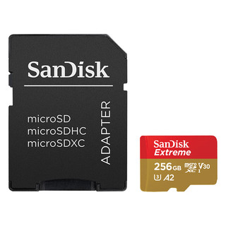 闪迪 Sandisk 内存卡手机扩展卡micro sd tf卡高速switch通用存储卡游戏机卡 256G-190M+Type-c接口TF卡读卡器