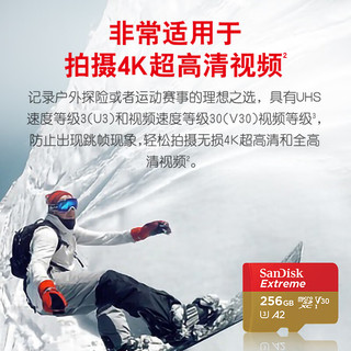 闪迪 Sandisk 内存卡手机扩展卡micro sd tf卡高速switch通用存储卡游戏机卡 256G-190M+Type-c接口TF卡读卡器