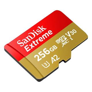 闪迪 Sandisk 内存卡手机扩展卡micro sd tf卡高速switch通用存储卡游戏机卡 256G-190M+Type-c接口TF卡读卡器