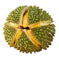 金尼尧猫山王榴莲马来西亚D197液氮冷冻水果AA级精品3房 1.5斤-2.0斤【保3房 尝鲜之选】