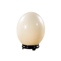 京觅山东新鲜鸵鸟蛋净重2.5斤/枚彩箱装巨无霸特大禽蛋源头直发 鸵鸟蛋2.5-2.8斤【京东快递】