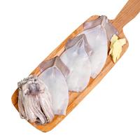 海鼎纪冷冻大鱿鱼  海鲜软足类 200-300g/条 净重2斤 烧烤火锅 原条鱿鱼1kg