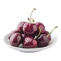 攸竹智利车厘子 3j车厘子多地次日达水果礼盒车厘子5斤装 5斤(净重) JJ级大果原箱礼盒装