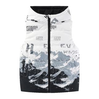雪中飞 SNOWFLYING儿童羽绒马甲洋气男童秋冬外套中大童坎肩加厚羽绒背心 黑白风景 110