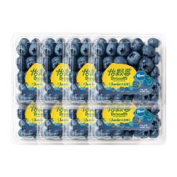 怡颗莓 云南蓝莓18mm+ 8盒装 约125g/盒 新鲜水果源头直发
