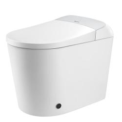 Panasonic CH2J534WSC 坑距可调泡沫盾智能马桶 V8家庭版