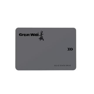 长城 256GB SSD固态硬盘 SATA3.0接口 GW560系列