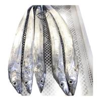 鲜享欢带鱼 海钓特级大带鱼整条小眼带鱼整箱刀鱼 生鲜鱼类春节年货礼盒 10斤礼盒（1.4-2斤/条） 带鱼