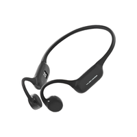 YuanS 园世 Beta pro 骨传导HIFI蓝牙耳机
