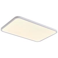 雷士（NVC）未来光吸顶灯普瑞光源全光谱护眼0缝隙智能客厅卧室灯具沐甄 【0缝隙未来光-沐甄】120W全光谱