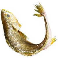 海名威宁德三去大黄鱼 对半厚切黄花鱼 净重3斤/5片装 海鲜水产鱼类 厚切半片鱼3斤 5片