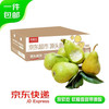 京鲜生 国产青啤梨 净重3斤 单果150g+