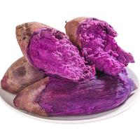 闽农语果【农品/优选】云南沙地紫薯新鲜蔬菜番薯紫地瓜农家自种紫心红薯 尝鲜装 3斤 【单果6两+】