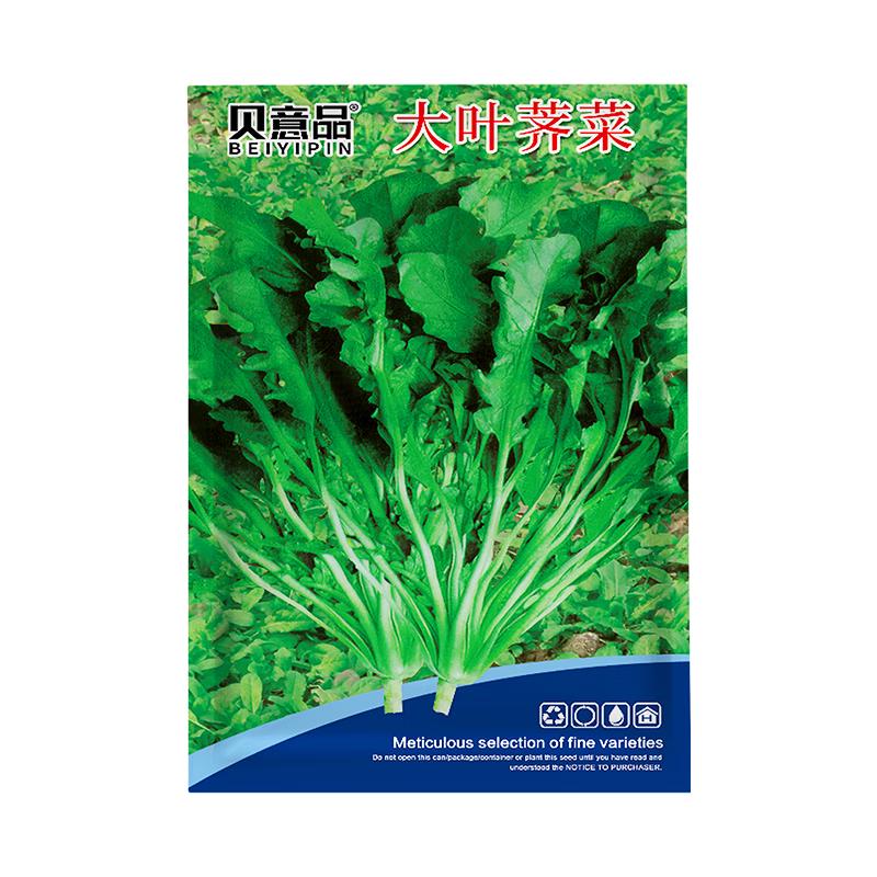 贝意品野生荠荠菜种子四季大叶荠菜籽阳台庭院盆栽高产芨芨蔬菜种孑大全