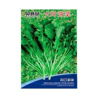 贝意品野生荠荠菜种子四季大叶荠菜籽阳台庭院盆栽高产芨芨蔬菜种孑大全