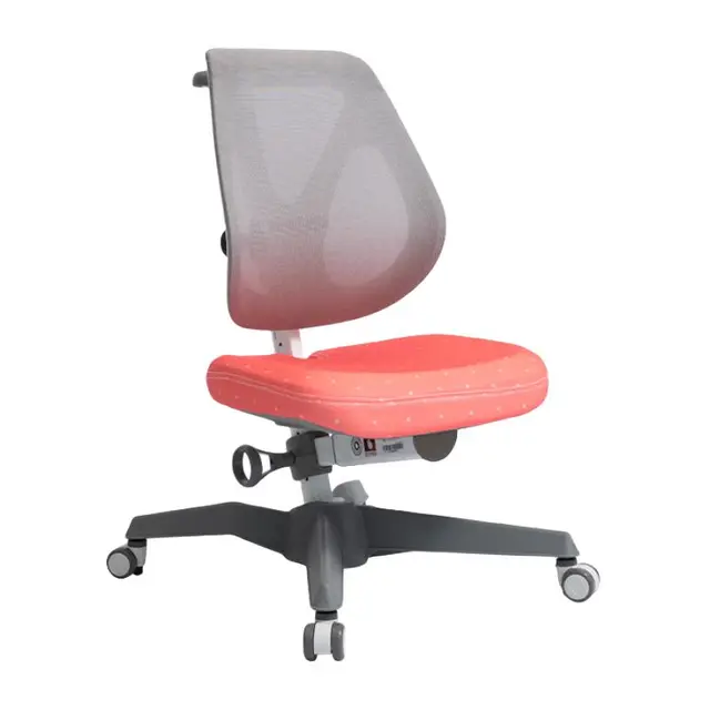 大将作（kid2youth）儿童学习椅人体工学可升降矫姿追背小学初中高中生家用6-12岁 EGOC网椅【珊瑚红】