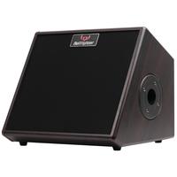 Bullfighter斗牛士吉他音箱乐器智能 DG30 电木吉它弹唱蓝牙充电便携街头音响 30W蓝牙音箱