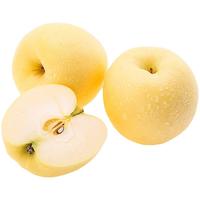 京地达山东烟台栖霞奶油富士苹果净重4.5斤 单果约200g水果源头直发