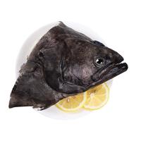 卖鱼七郎 格陵兰超大鲽鱼头1.5斤 深海鸦片鱼头比目鱼头海鲜水产鱼类 超大鲽鱼头1.5斤/只