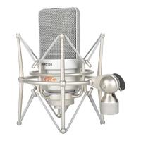 iSK/声科 智能降噪 电容麦克风