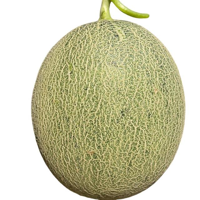 移动端、京东百亿补贴：京鲜生 海南哈密瓜西州蜜 净重4.5-5斤 2粒装 单果2.3斤起 源头直发包邮