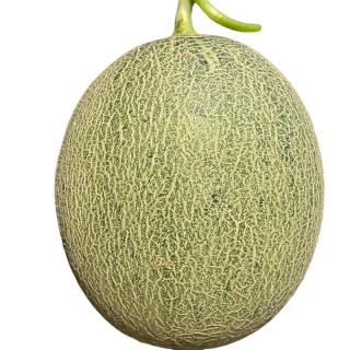 京鲜生 海南哈密瓜西州蜜 净重4.5-5斤 2粒装