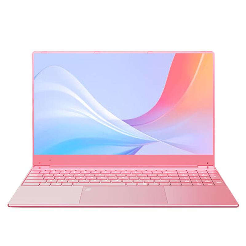 AODIN澳典 YNY6 全新16代英特尔Pro Book 笔记本电脑  奔腾 6500Y