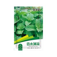 花沃里香水薄荷种子500粒/包花卉种子四季花种家庭盆栽土阳台庭院种