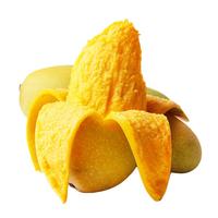 移动端、京东百亿补贴：京鲜生 海南金煌芒果 4.5斤装 单果250g起 新鲜水果 源头直发