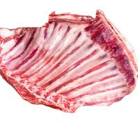 锡林之星 内蒙羊肉锡林郭勒散养羔羊排 冷冻生鲜羊排肉半成品整扇手抓羊排 羊肋排-2.4斤