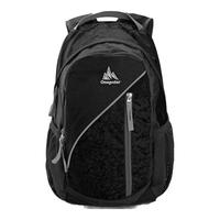 极地（onepolar）户外背包旅行运动双肩背包电脑包多功能登山包18L 黑色