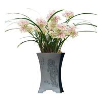 劉閣蘭花兰花世界上超香四季兰帝王妃 金边矮种夏带浓香花苞花卉盆栽