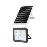 松下（Panasonic）太阳能灯庭院灯户外投光灯室外防水灯遥控光控1100lm+照约25㎡