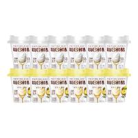 蒙牛（MENGNIU）每日鲜酪低温酸奶生鲜风味发酵乳 榴莲味100g+原味100g共12杯