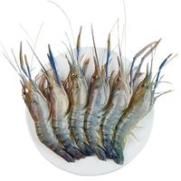 鲜拔头筹罗氏虾沼虾新鲜活冻 3斤45-60只超大特大带黄带膏虾类 罗氏虾 2.4斤(净重) 45-60只