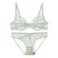 夏娃的诱惑绽放组女士内衣女套装性感蕾丝文胸薄款上托聚拢收副乳防下垂胸罩 浅绿色 75D 34/75D