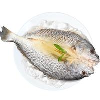 禧美海产 南美大黄鱼(黄鱼鲞)3斤/3条装 三去免处理 阿根廷 烧烤食材 【野生海捕】大黄鱼(黄鱼鲞)3斤