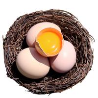  密农人家 杂粮喂养 土鸡蛋  散装 1.35kg